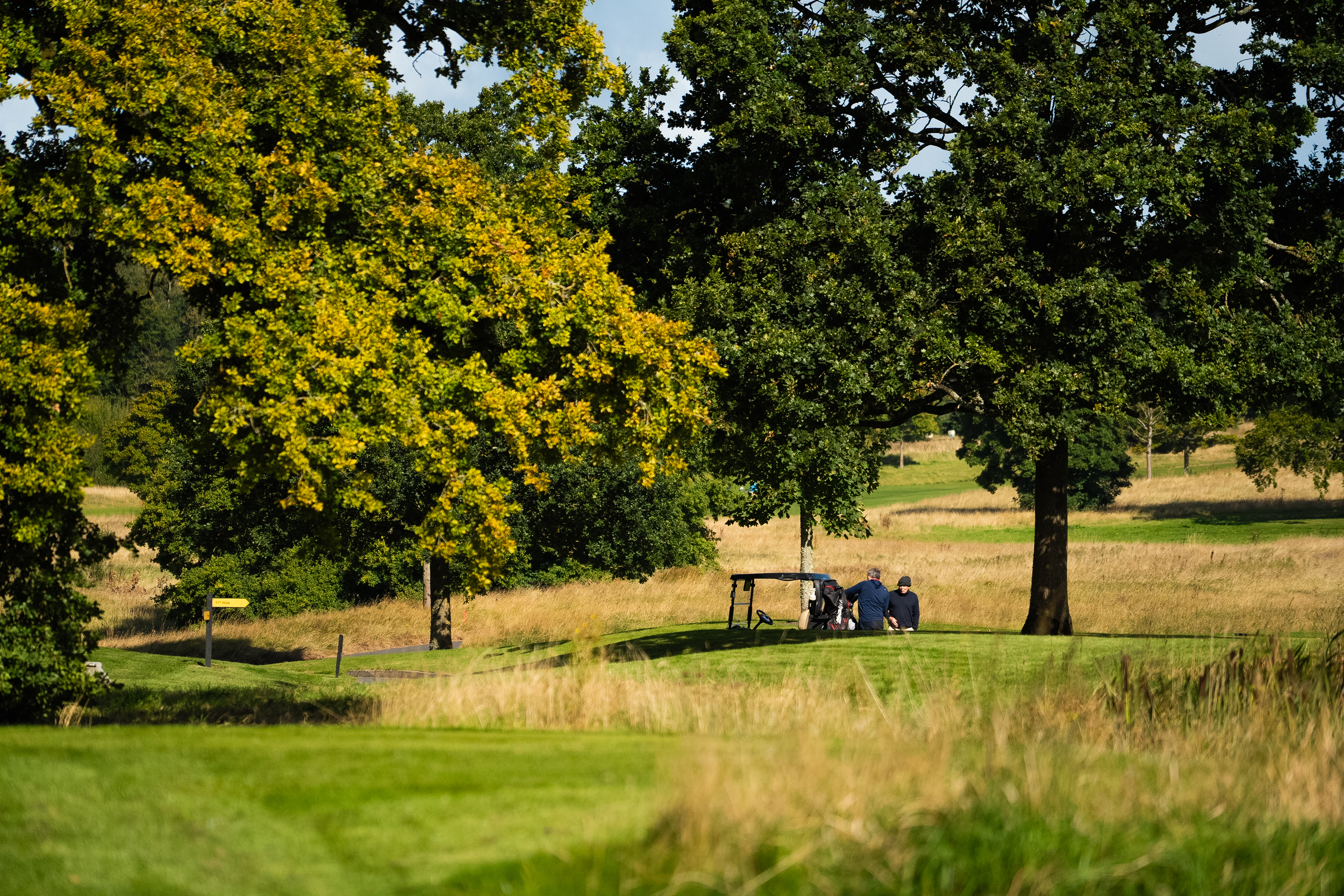 Motion Golf Day